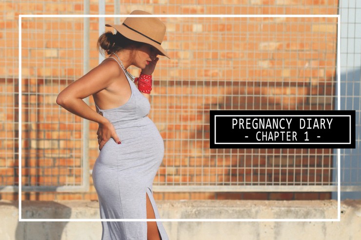 Pregnancy diary -chapter 1-